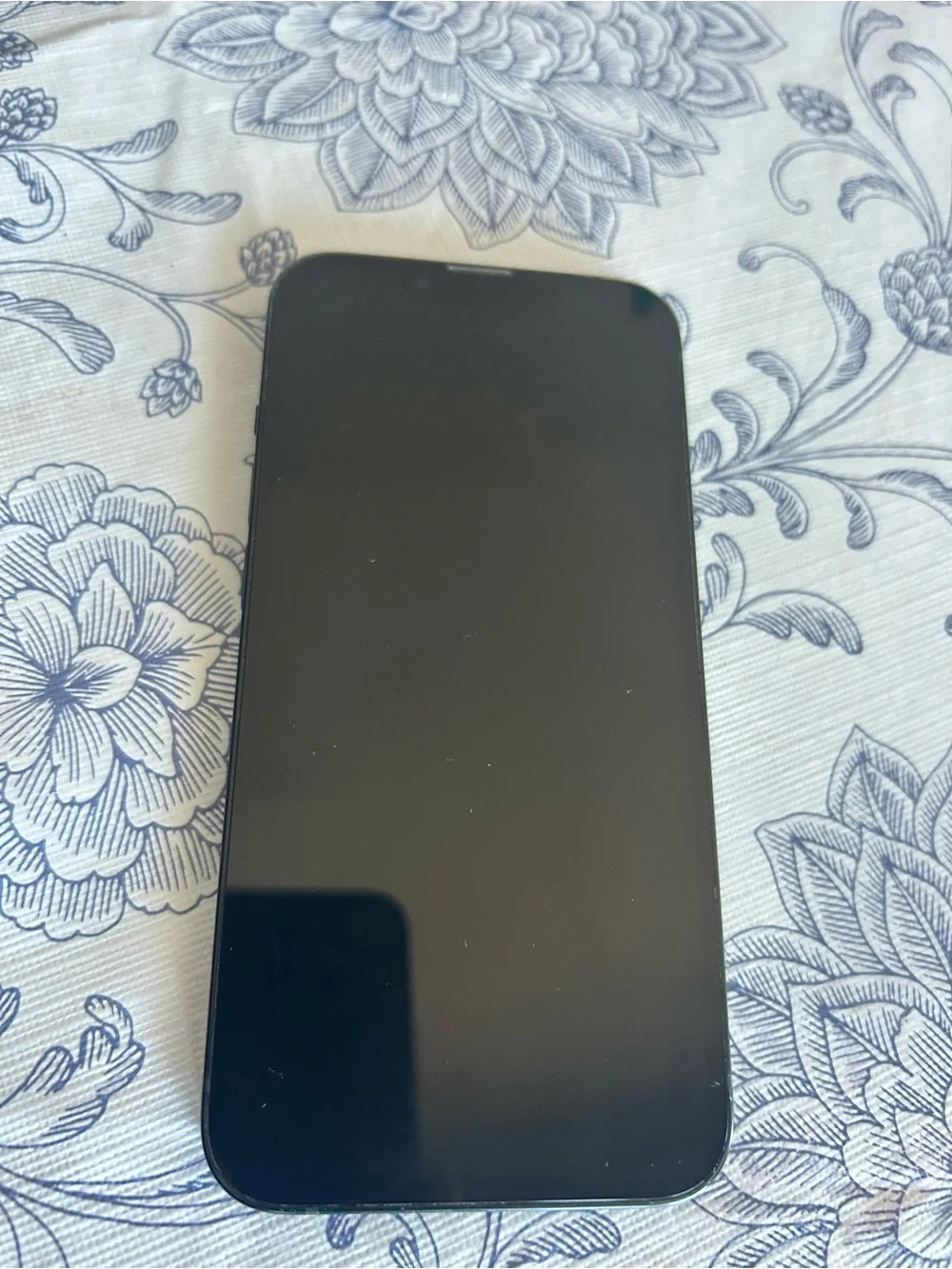 Apple iPhone Black Dual-Camera Smartphone